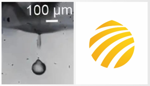 官宣 | Agin games官方LOGO全「新」亮相！