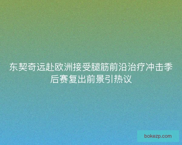 东契奇远赴欧洲接受腿筋前沿治疗冲击季后赛复出前景引热议 东契奇远赴欧洲接受腿筋前沿治疗冲击季后赛复出前景引热议